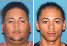 Acusan a trece dominicanos de robar 40 vehículos de lujo